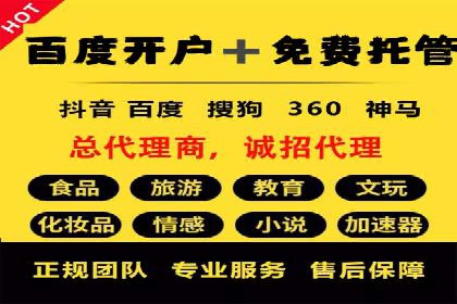 某公司信息流广告的精准投放与效果评估